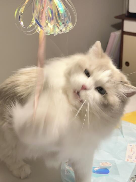 哈哈小女孩就是喜欢这种花哨的玩具！