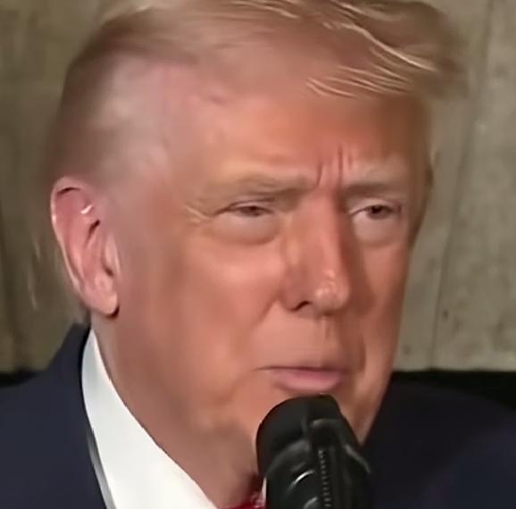 日前美国总统特朗普大谈美国前总统克林顿，说他非常喜欢克林顿，都是民主党逼的，他不