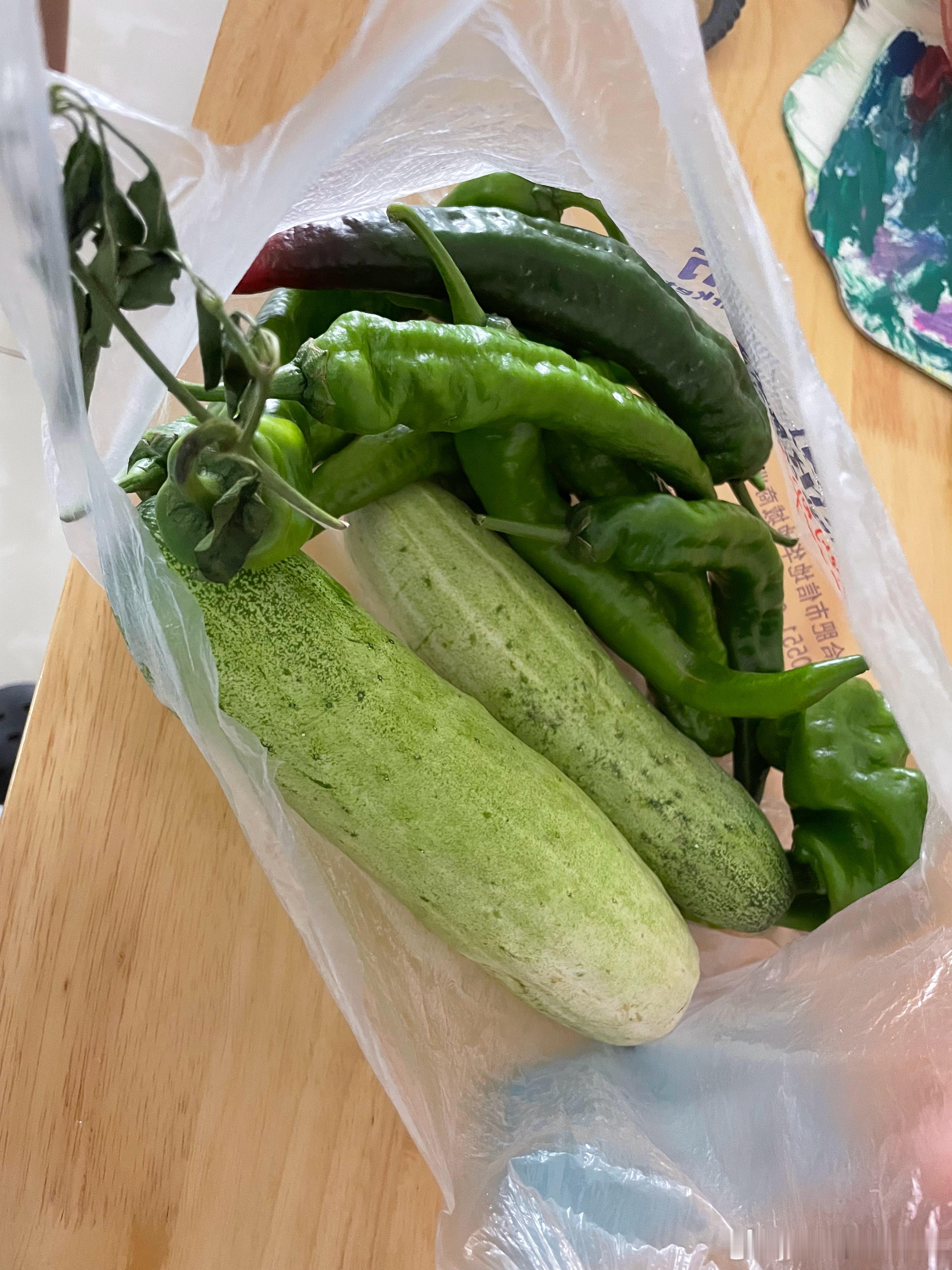 今日夏至大早上邻居送了从老家带来的蔬菜辣椒和笨黄瓜🥒感恩遇见