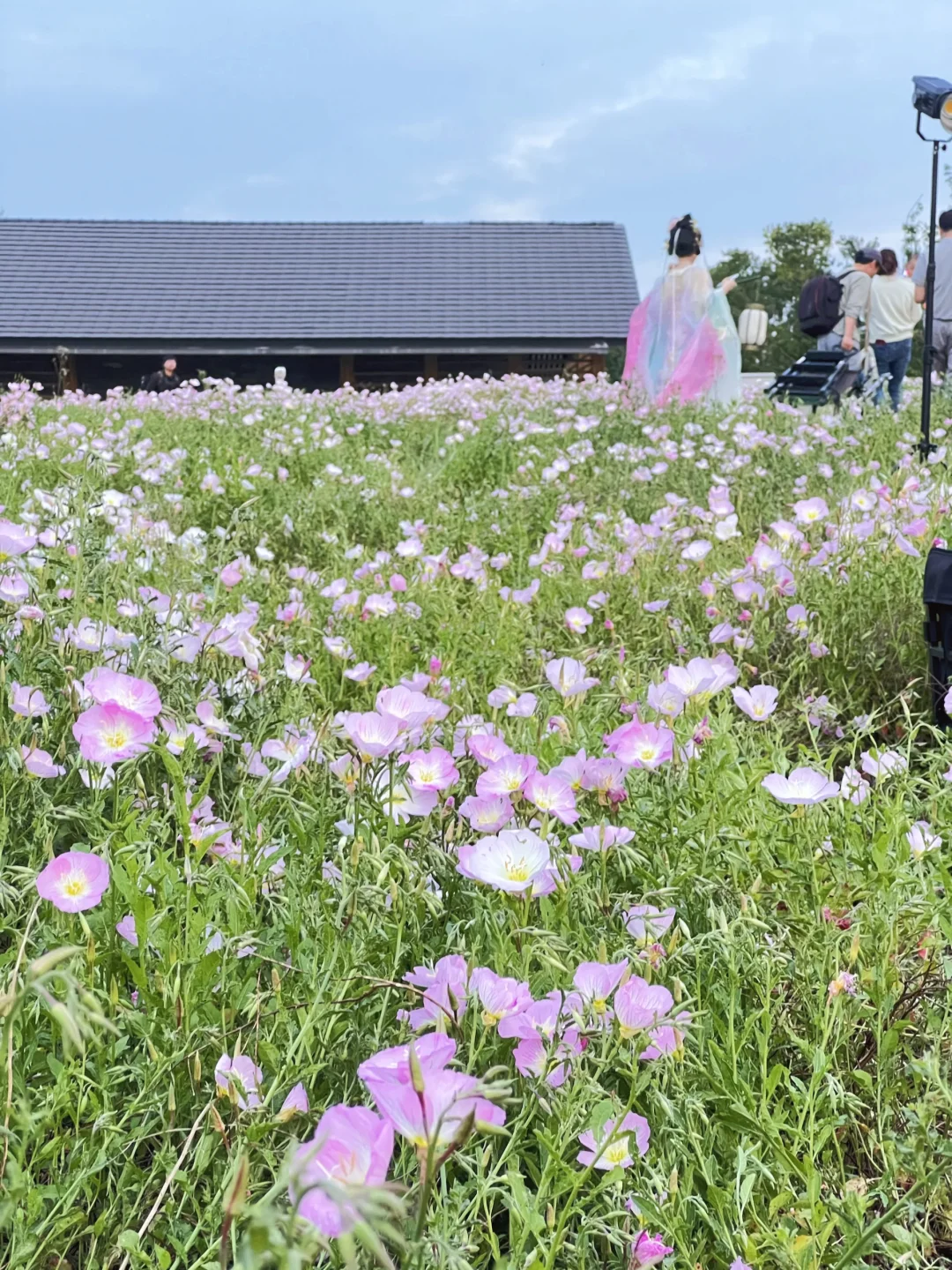 4.8实况！成都地铁直达花海！夯爆了！
