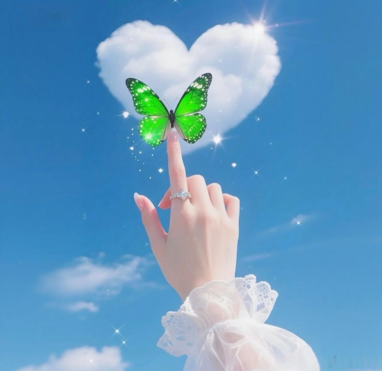 🍀🍀 快乐好比一只蝴蝶，你若伸手去捉它，往往会落空；但如果你静静地坐下来，它