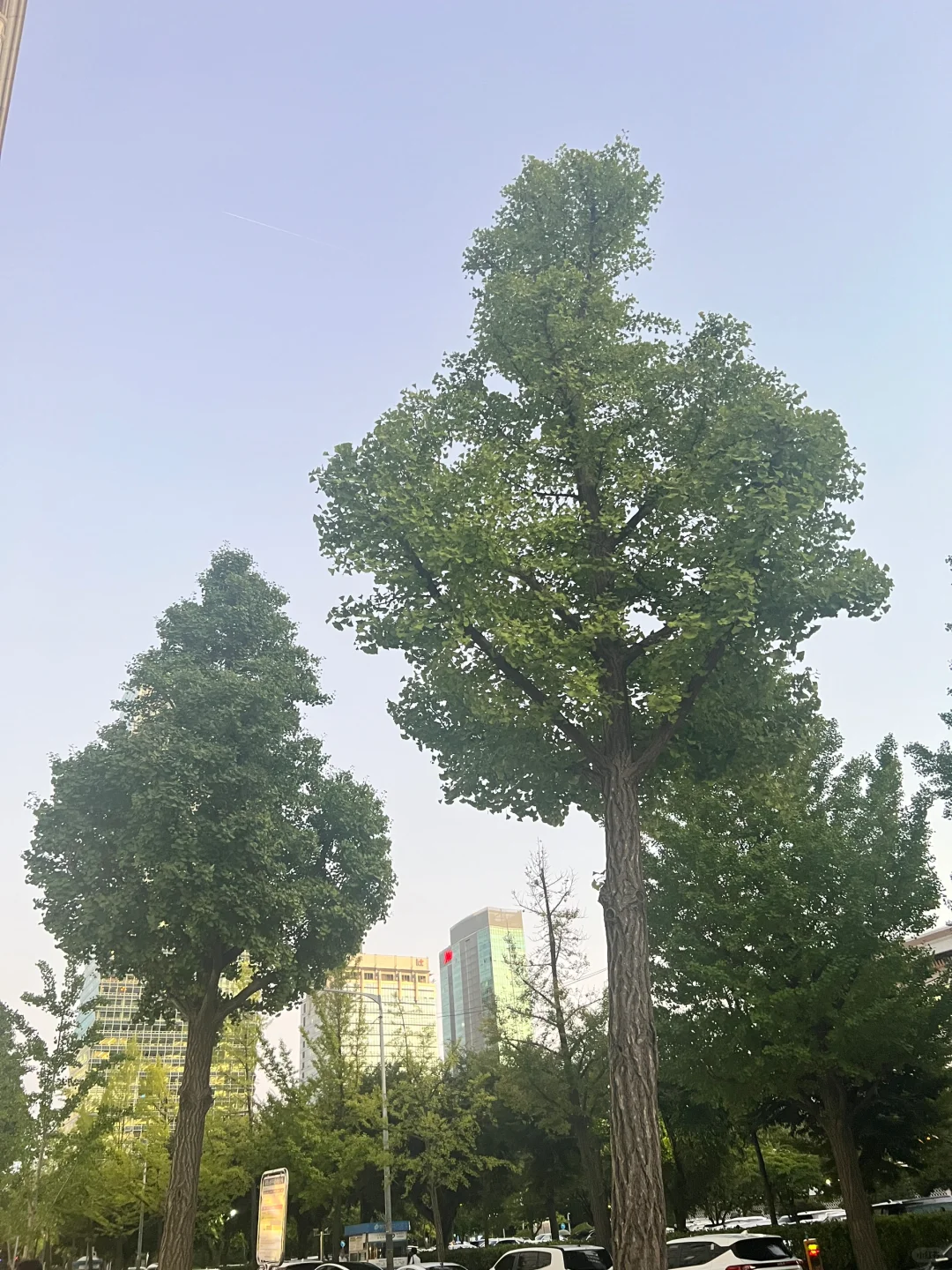 🇰🇷得与失，何尝不是处决于你的心态呢？
