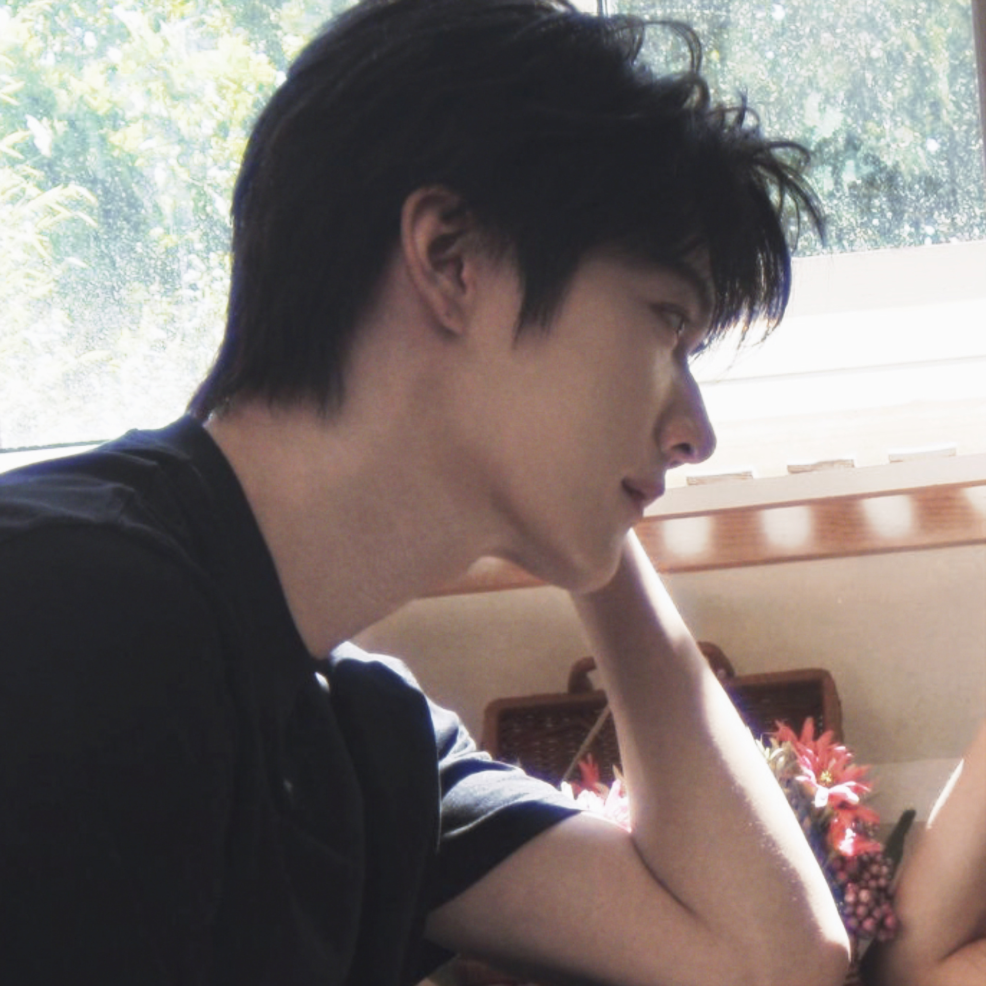 真小狗 假小狗 