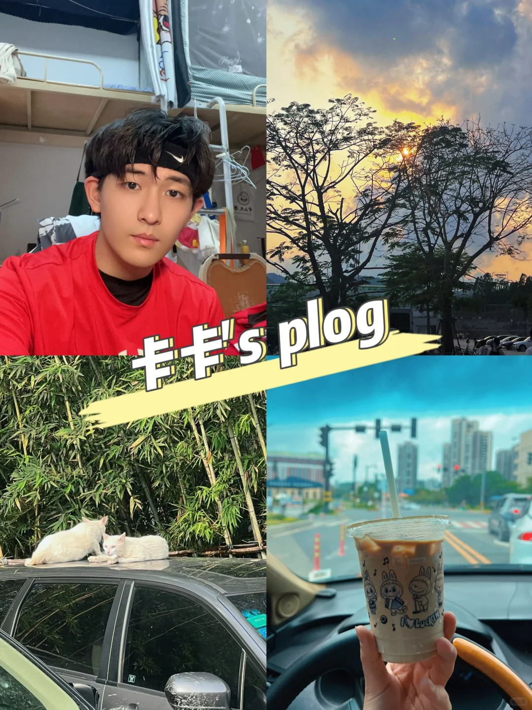 中大plog Ⅰ 四月的日子是杂乱无章的
