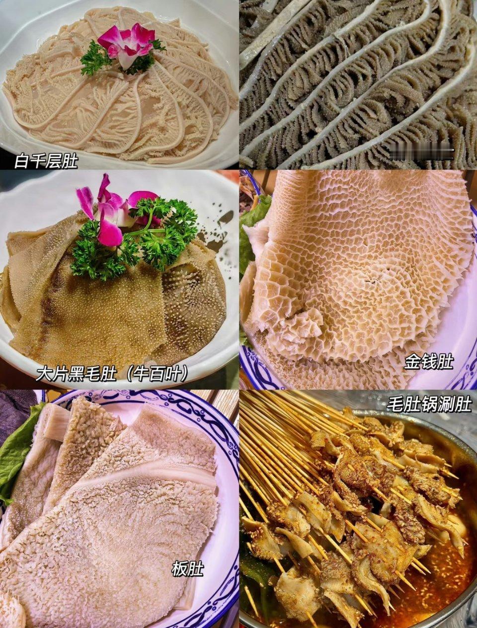 中国一年吃掉5亿斤毛肚震惊老外毛肚是真的好吃啊，不管是爆炒还是涮火锅。     