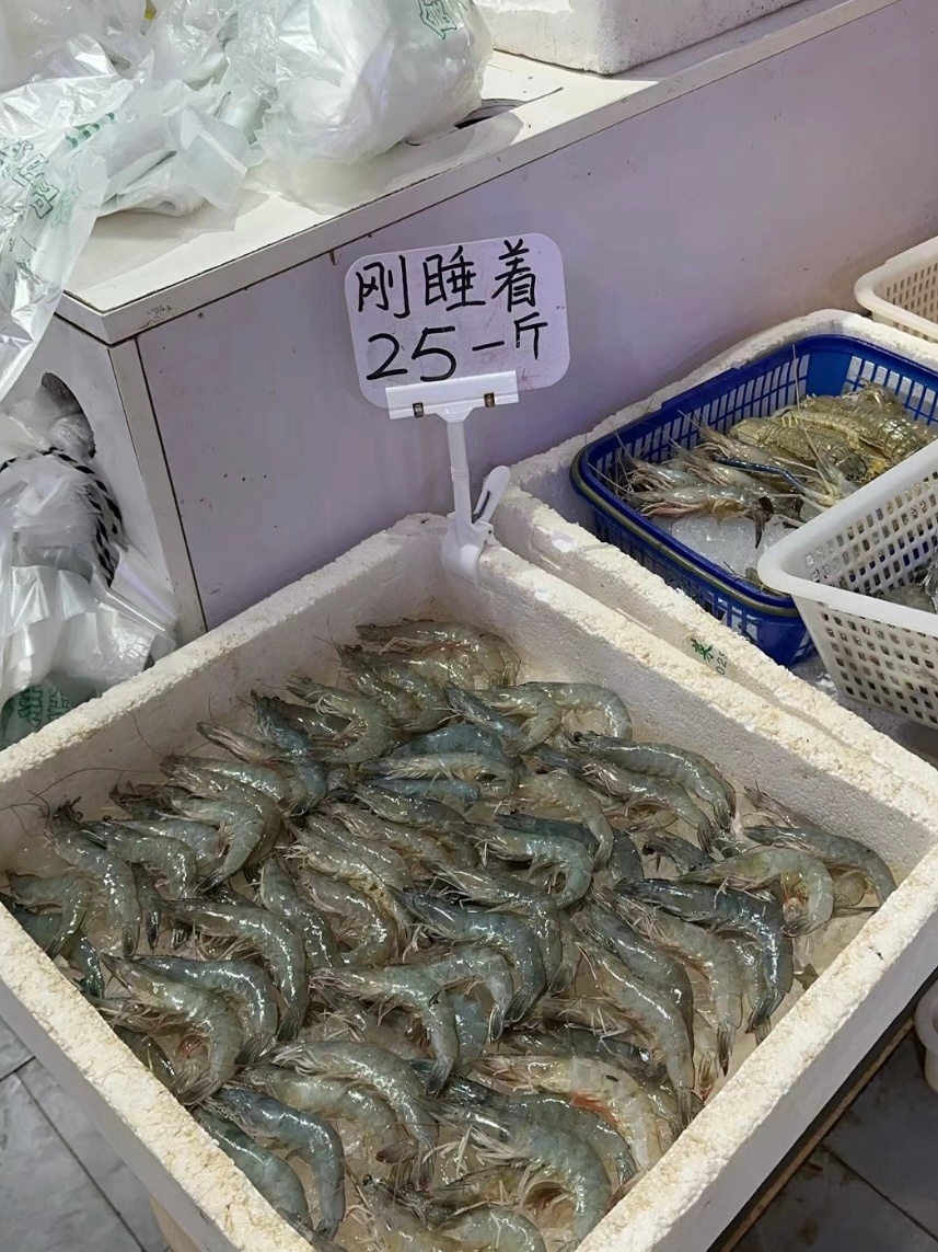 出门在外水产的身份是自己给的[开学季] ​​​