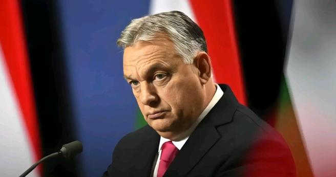 赶在彻底交权之前，匈牙利总理欧尔班及盟友开始疯狂往国外转移财产。
4 月 27 