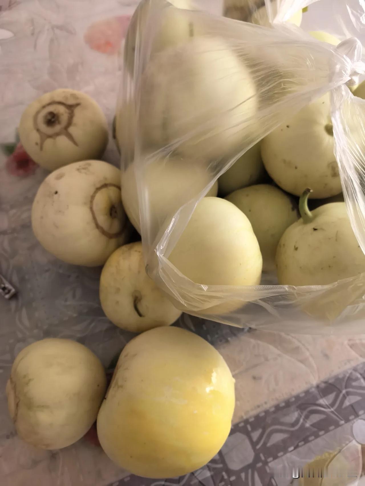二姨家今年种了两亩多小白瓜，真正实现了吃小白瓜自由。

她两个孙子挺可笑：往年暑