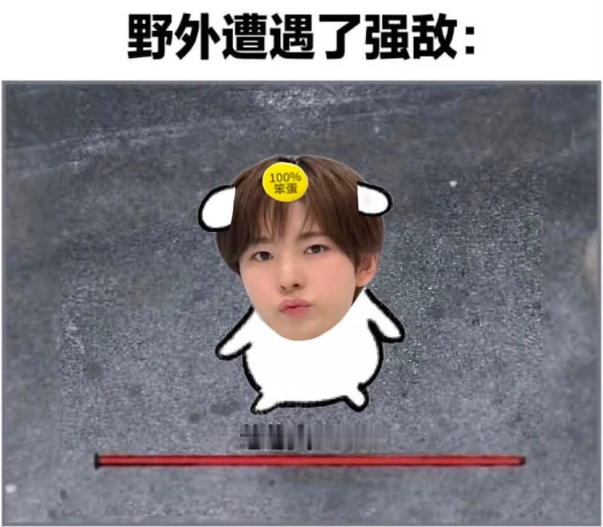分享图片 