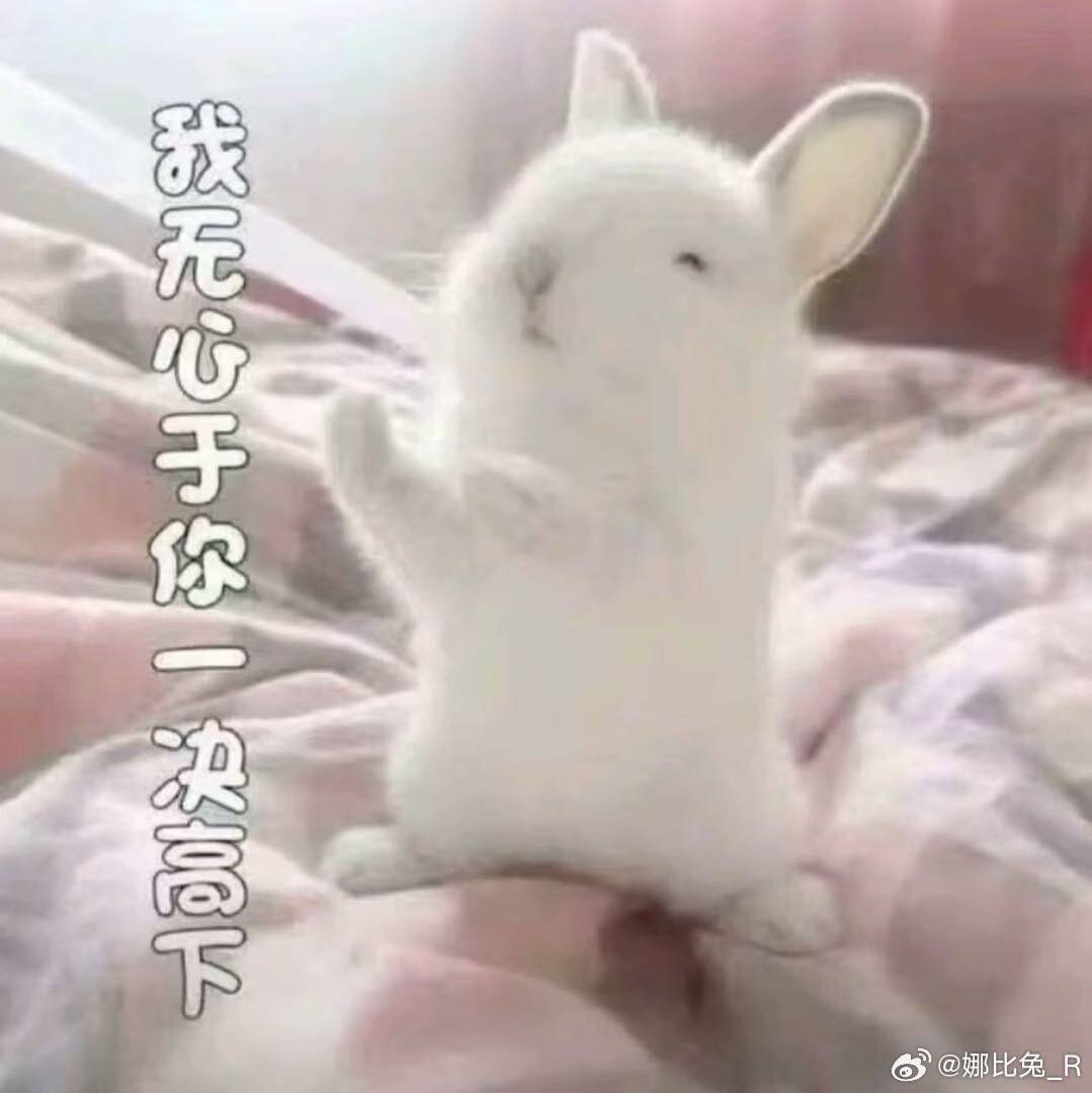 分享图片 