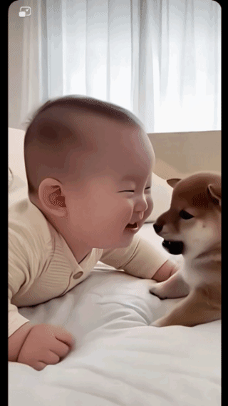 你吼我也吼，
看谁最厉害！
狗狗叫一声，
孩子吼一下，
人与动物最和谐的场景，