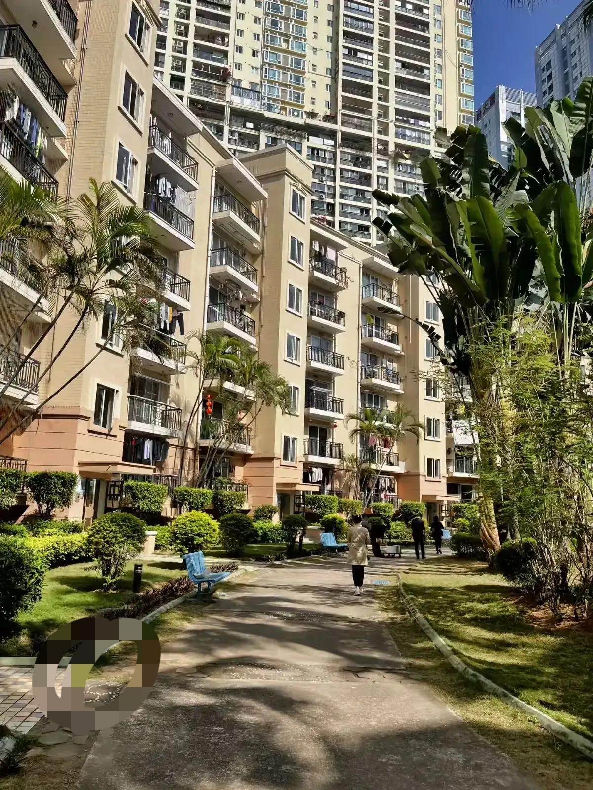浙大宿舍楼下的那碗泡面

张磊把最后一口泡面汤吸溜进嘴里时，路灯刚好亮了。塑料碗