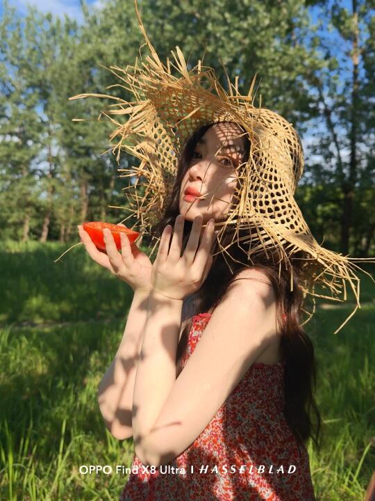 想要交换一张你相册里绿意盈盈的夏日照片