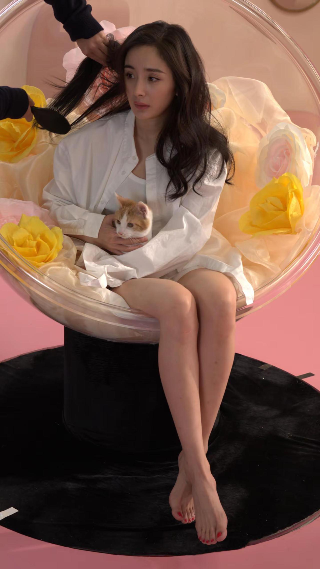 杨幂早期棚拍定妆RAW底图，猫咪好乖巧呀。杨幂 杨幂身材 向全世界安利杨幂 生图