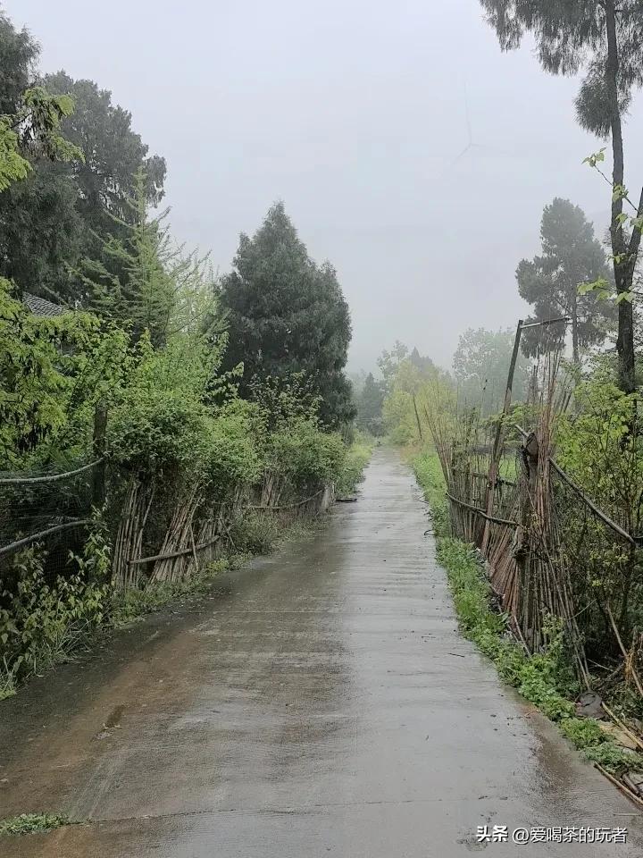 阴雨天的乡村小道。
