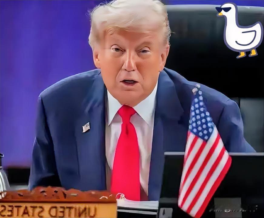 你相信 特朗普“服软”？
别被骗了，这步棋藏着大算计！
看似特朗普“妥协”，实则