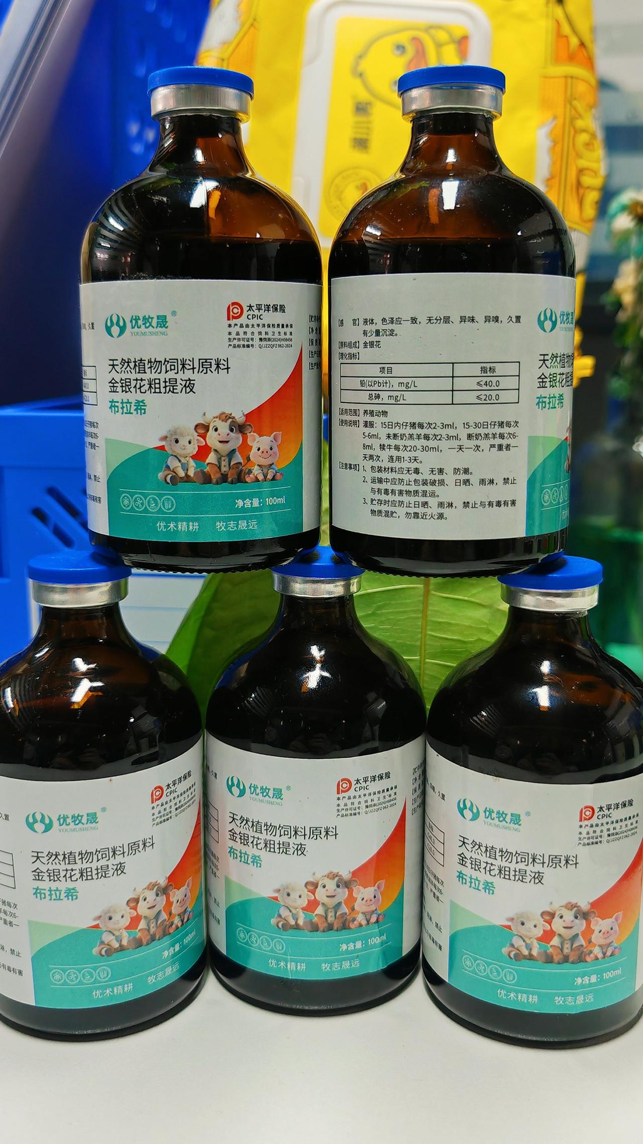 养羊人 农村养羊