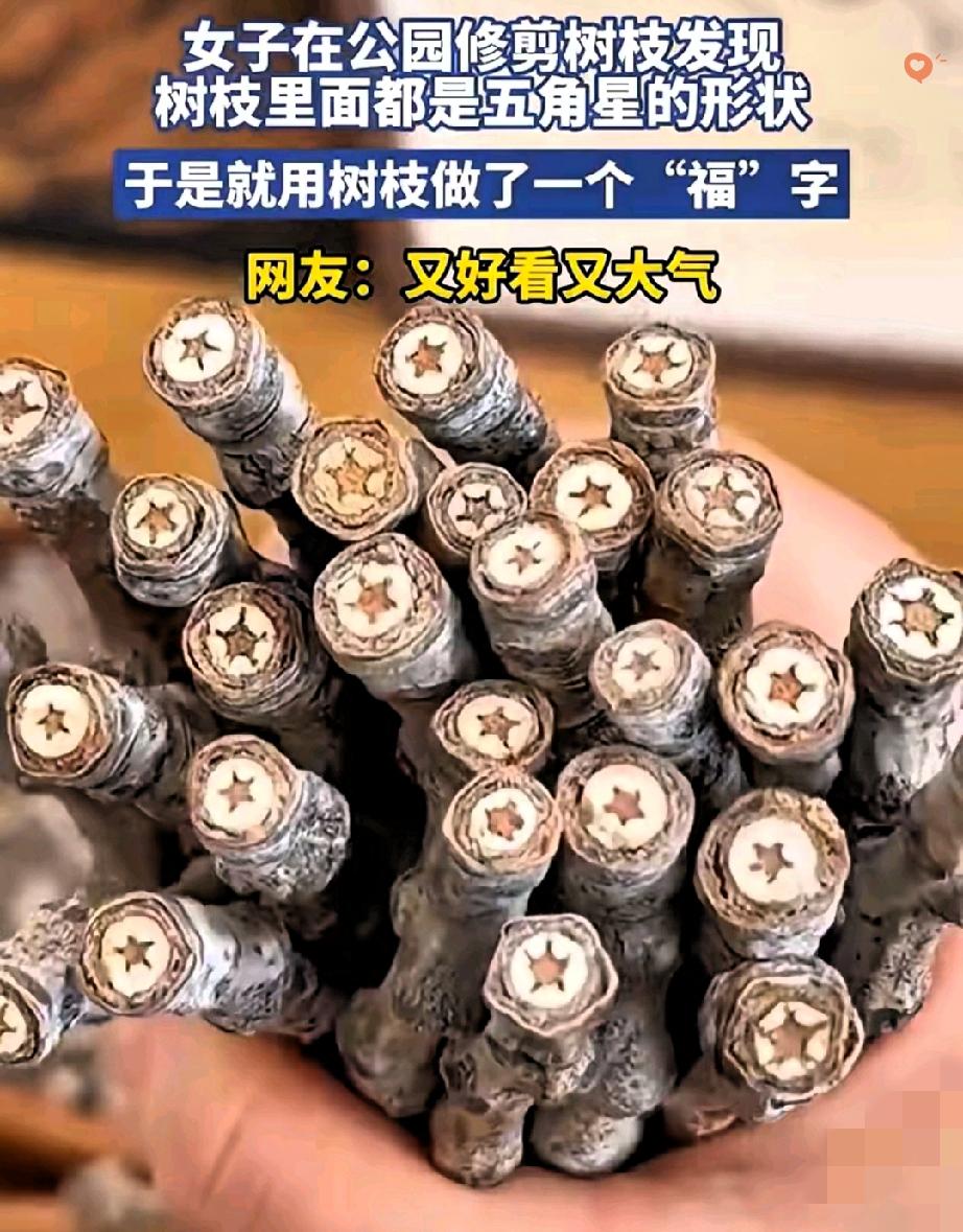 普通树枝里居然藏着星星，安徽大姐这波操作把生活过成了诗！
 
本来就是去公园修剪