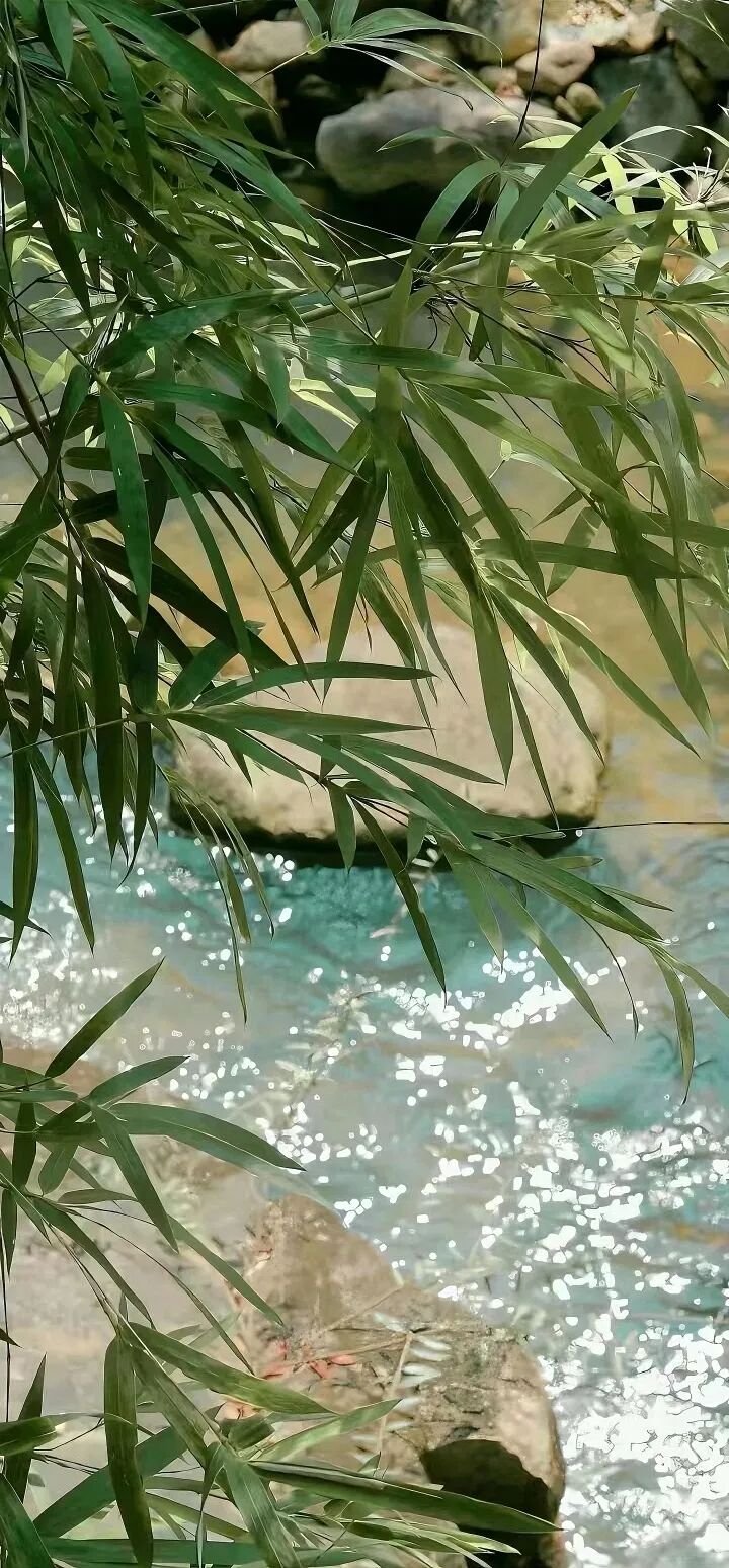 𝐒𝐡𝐚𝐫𝐞壁纸｜夏日清凉感壁纸