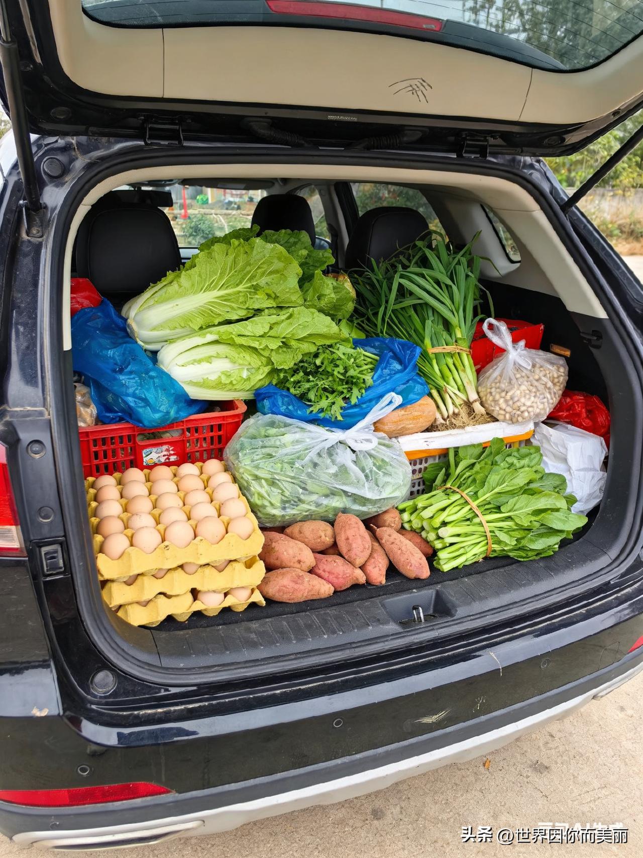 回娘家一趟才懂，父母的爱，全塞在后备箱里
 
每次回娘家
我妈总说：
家里啥都有