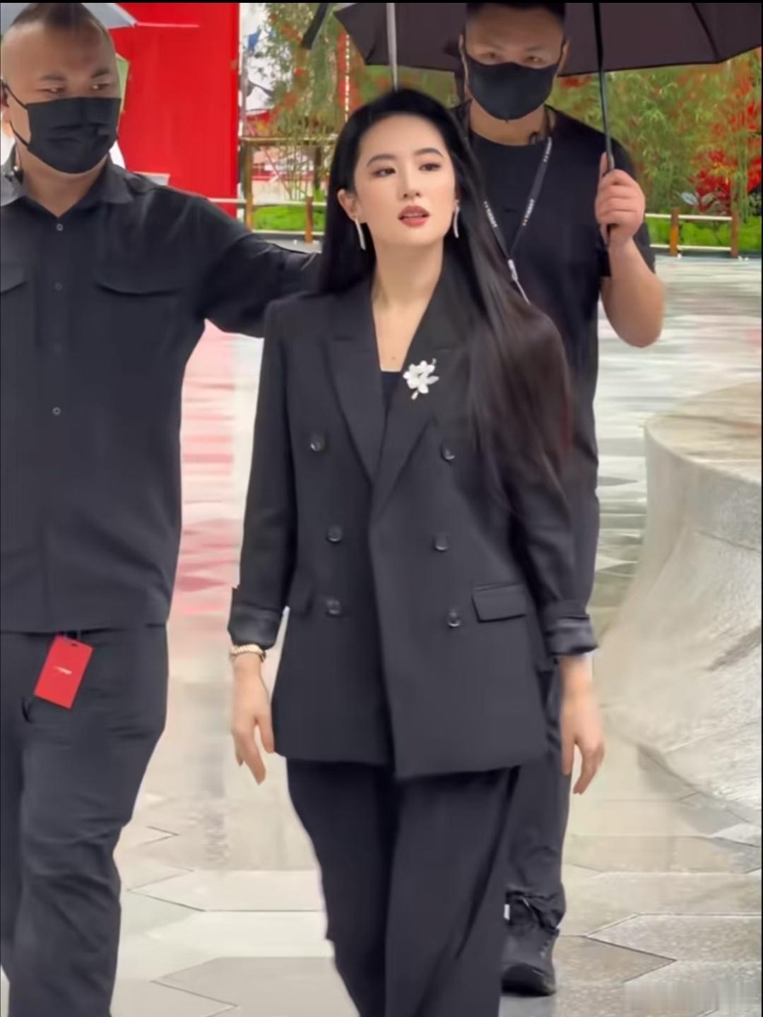 红薯上，有路人说刘亦菲此行好像是去收购天梭的