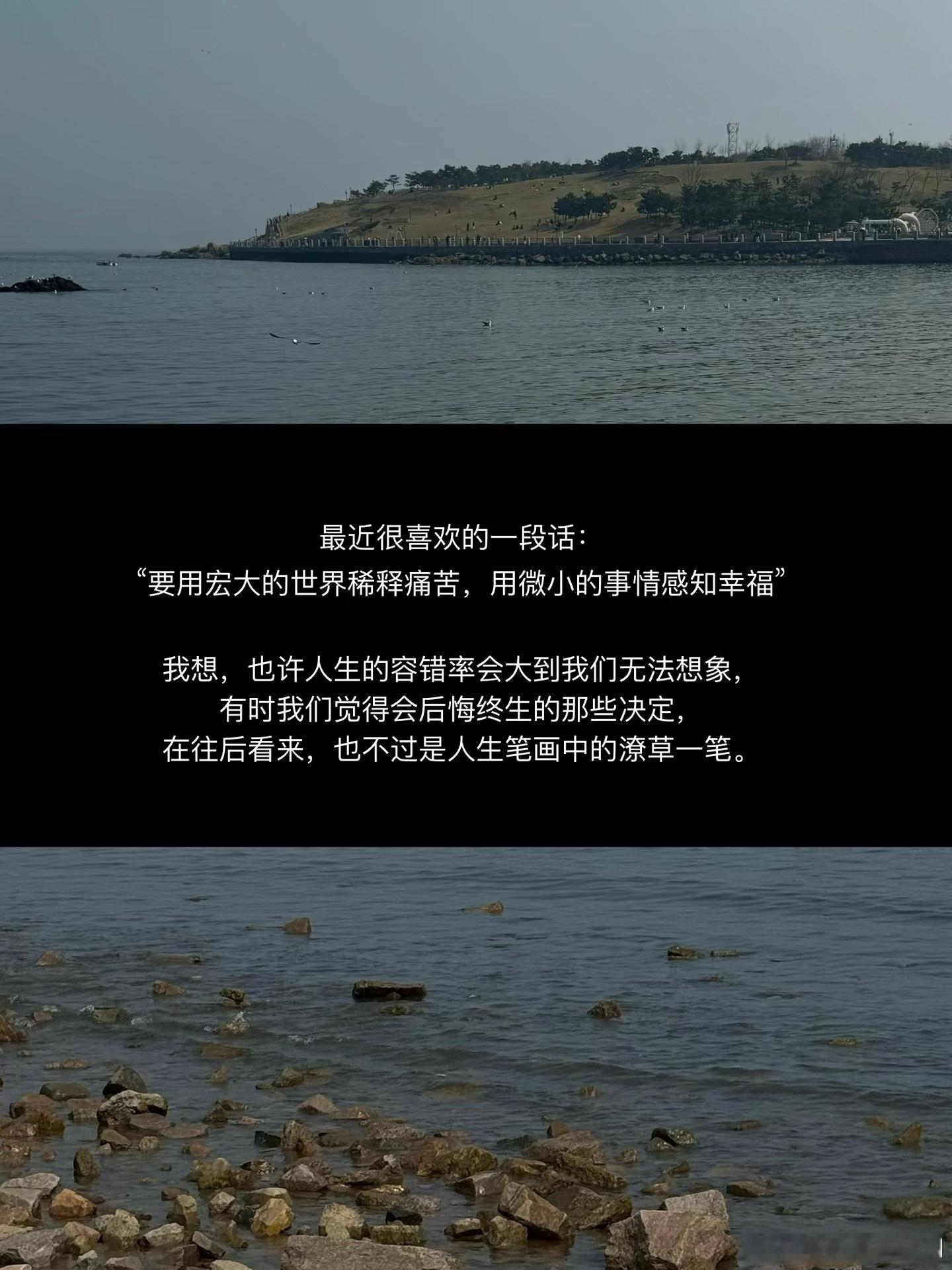 阳光信用阳光信用 每日一善 世界愈悲伤，我要愈快乐。当人心愈险恶，我要愈善良。当