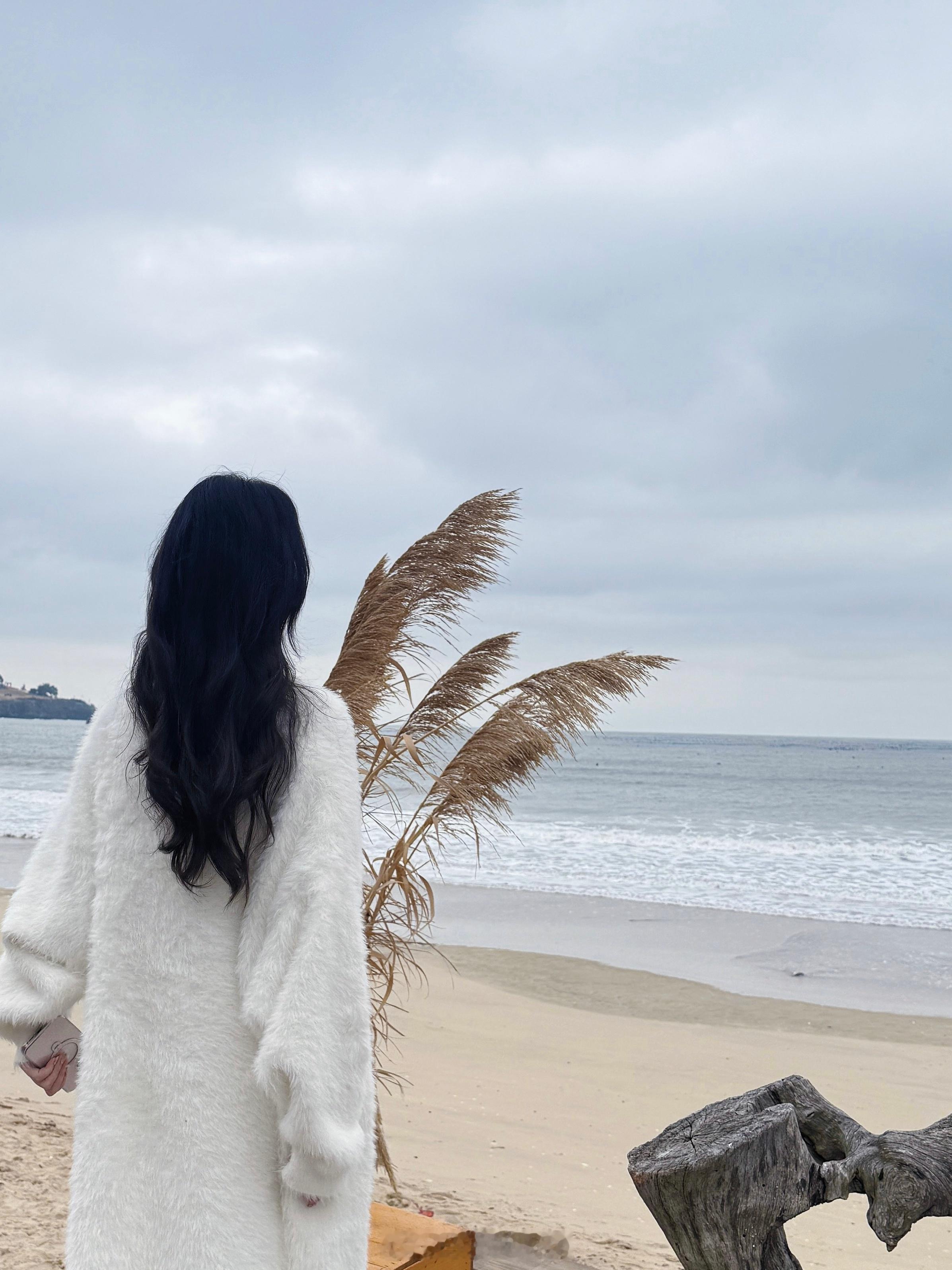 冬天看海 