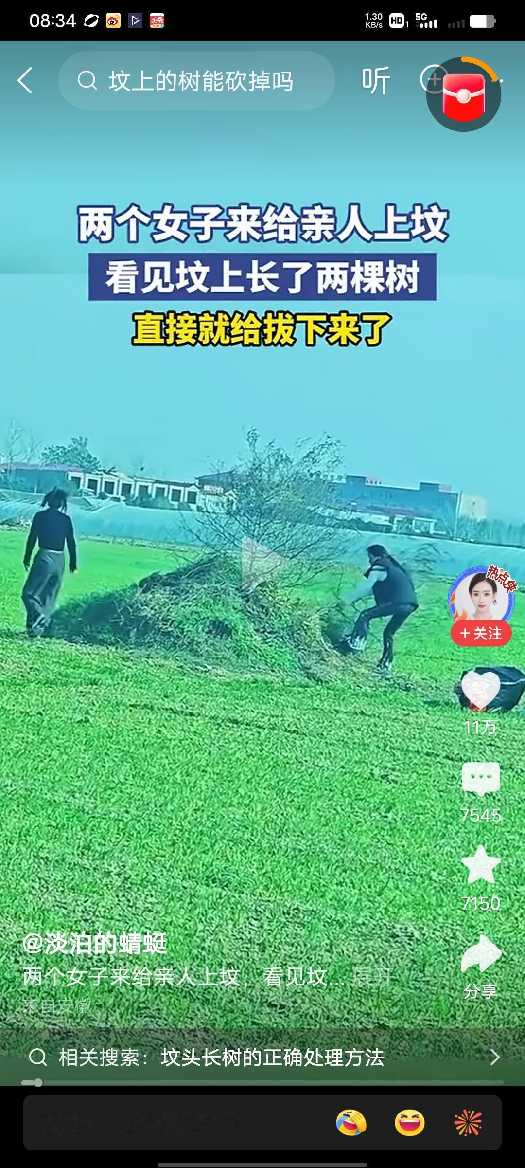 看到两女子上坟拔树的事儿，挺有意思。有人觉得她们狠心，好好的生机说拔就拔。但老祖
