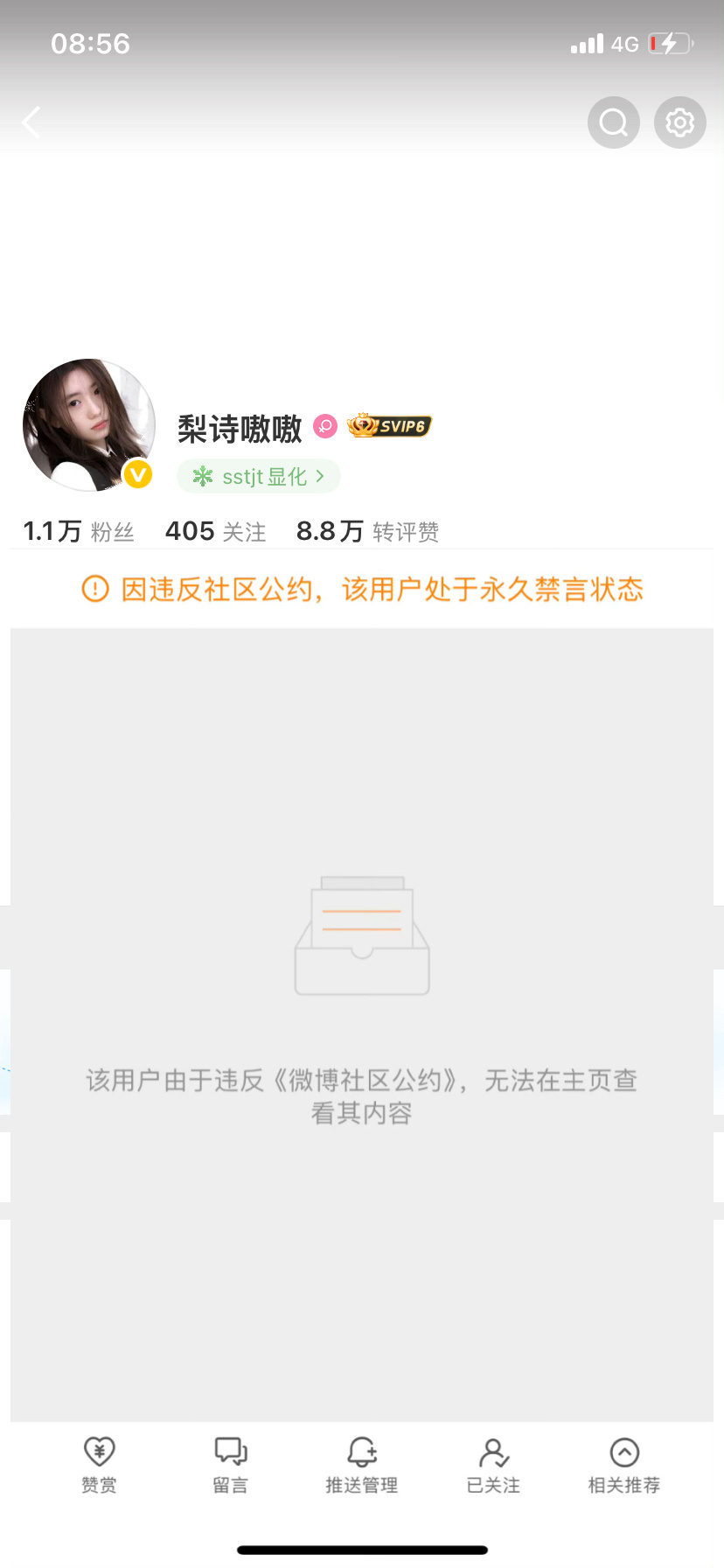 再见了 