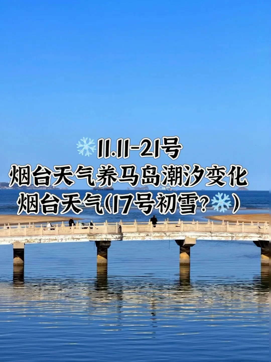 📍11.11-21号烟台养马岛潮汐及天气变化