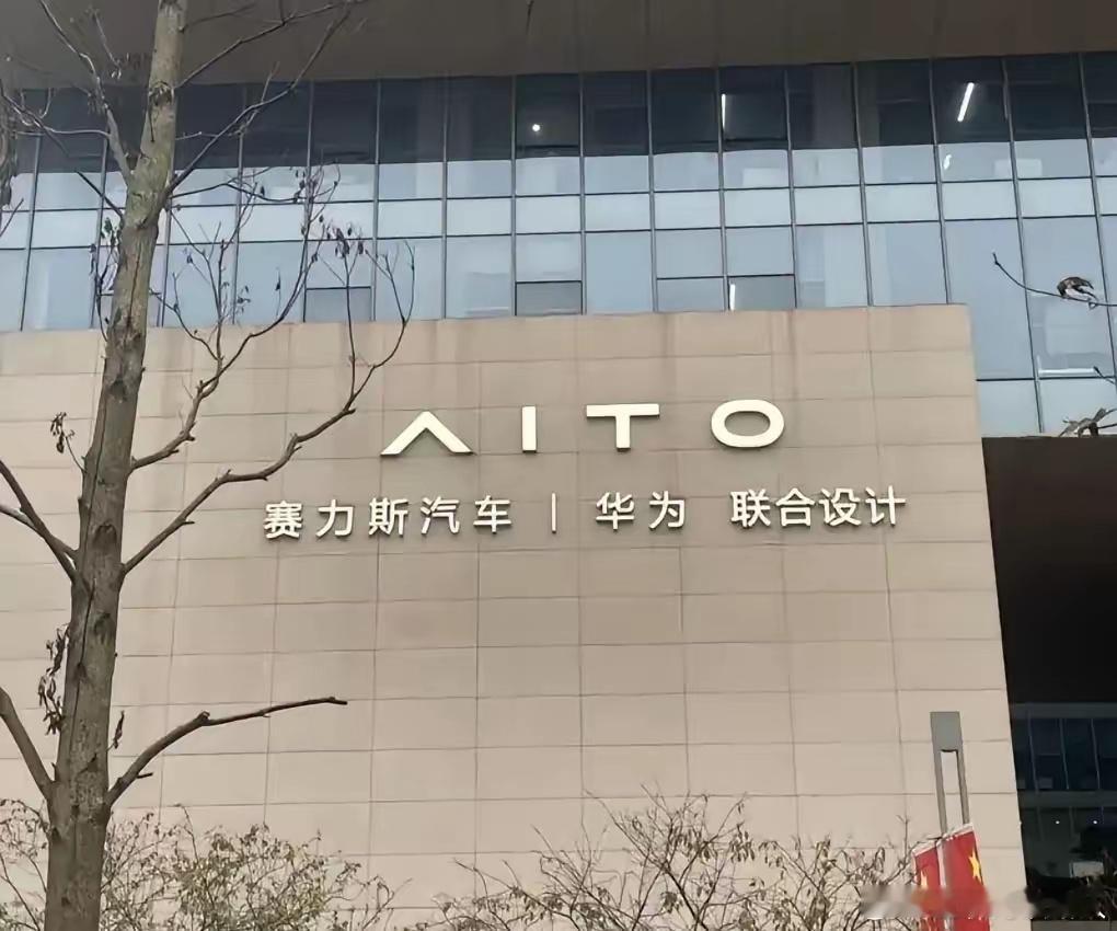 华为与赛力斯也走过了最艰苦的岁月。前几年，研发投入金额大，销量又不好，技术尚不成