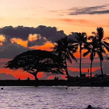 每日一善   每日一善   阳光信用 每一个生命都是美丽的，再小的花也不会拒绝。