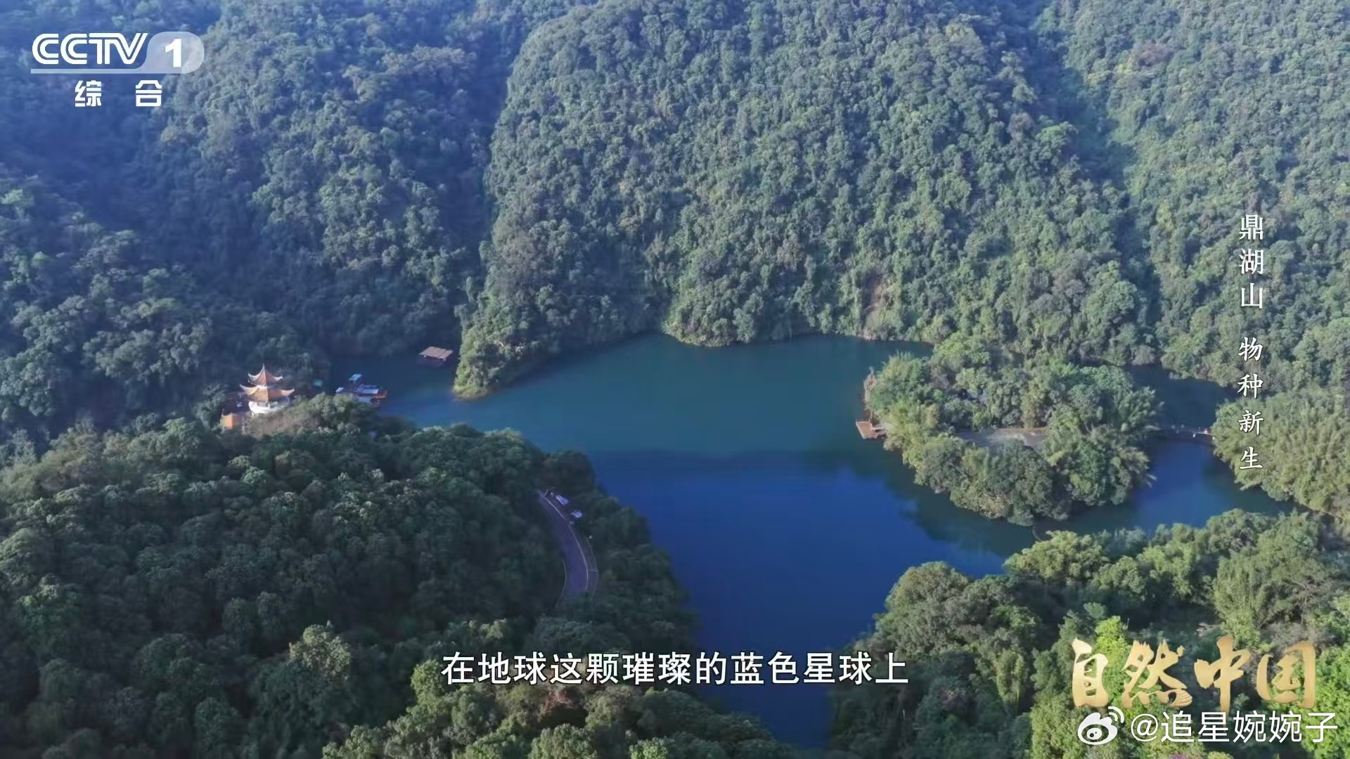 土壤的土腥味从何而来 闻到土腥味就代表这片土地很有活力🌱，活跃的菌群与代谢反应