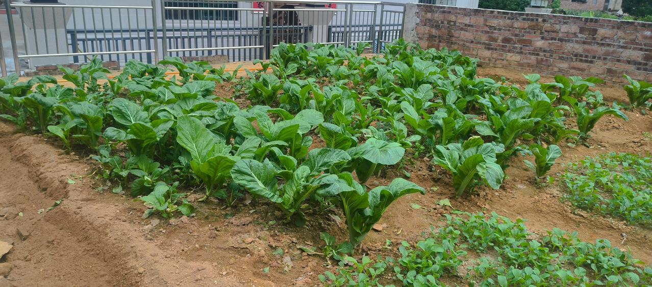 一张图证明秋天来了