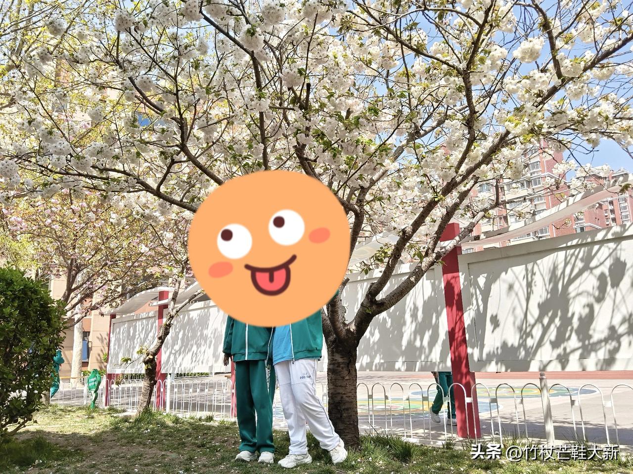 自从有了这个信念，我的教师生涯变得幸福。
允许孩子犯错，不怕孩子犯错。
这样当老