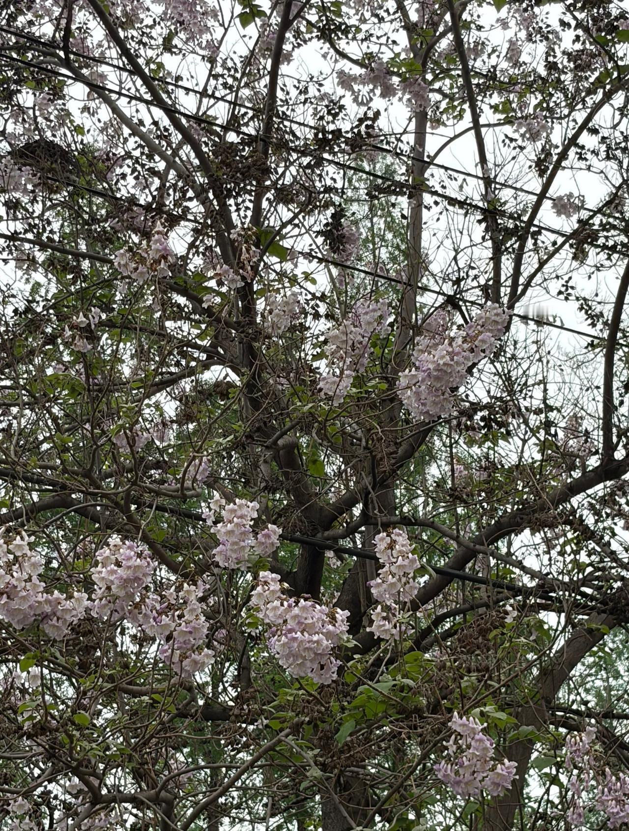 我听说了一件很有意思的事，听完直接惊呆了。

退休的孙老师今年62岁，他从200