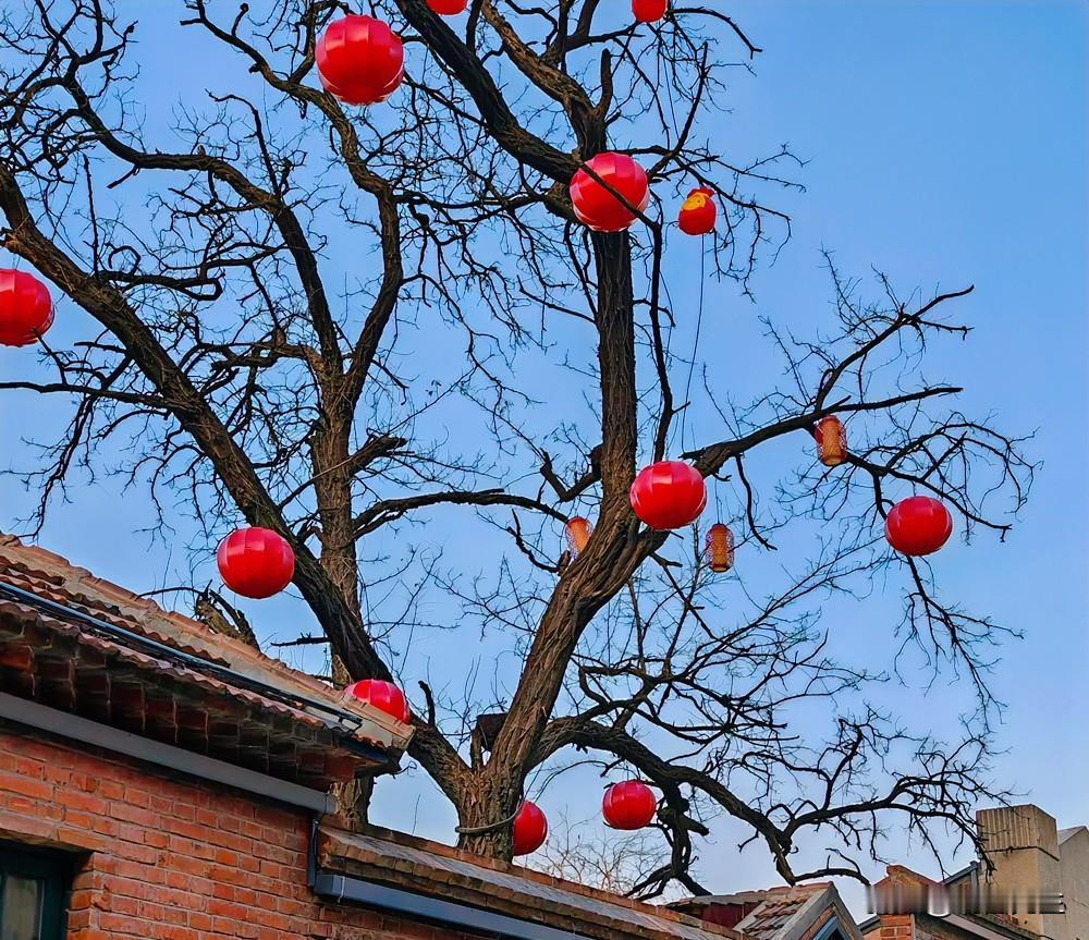 老大管老二，一管一个准！

老二不听话，不好好吃饭，找老大，
老二腻腻歪歪，不听
