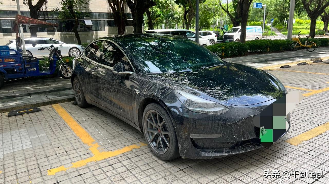 深圳南山施工路段一路黄泥水
外卖小哥小心翼翼骑车
我跟着前车慢走
结果被旁边车飞