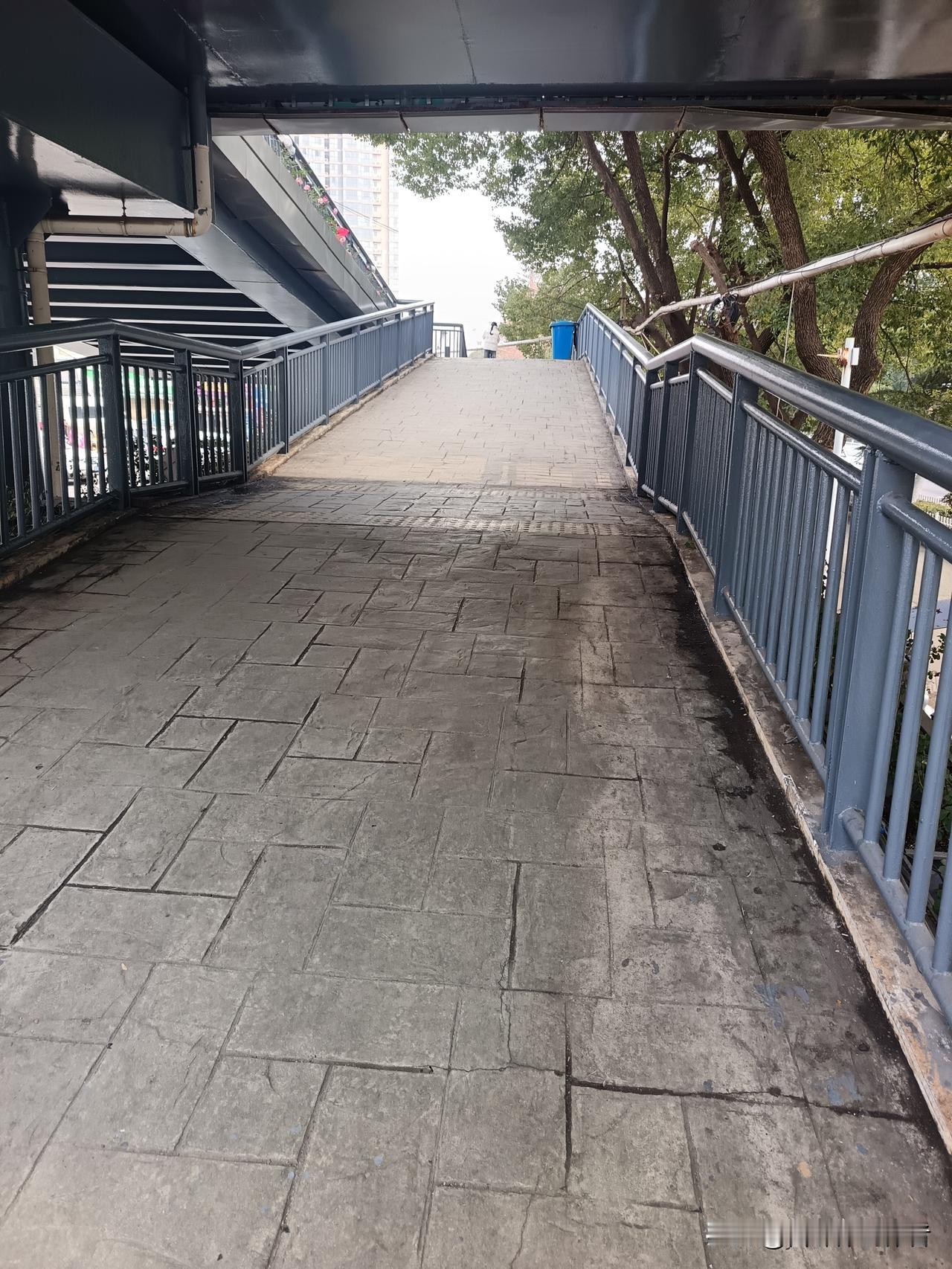 残花无力卸晚妆，
秋风染尽千树黄。
登高又望南飞雁，
期盼远方春燕归！