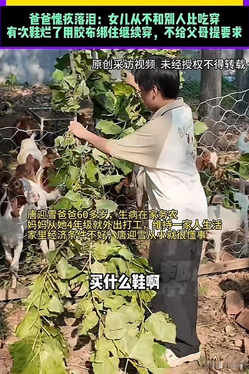 河南驻马店，女孩不和别人比吃穿，一个劲的学习。以686分，英语144分考上北京大