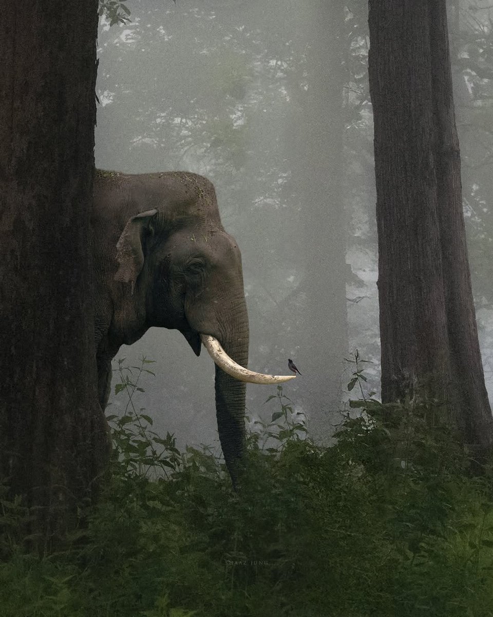 'Unexpected friendships and quiet conver