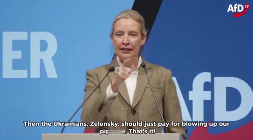 德国政坛炸了锅！1月25日，那位以敢说敢言的德国选择党女大佬爱丽丝·魏德尔，当着