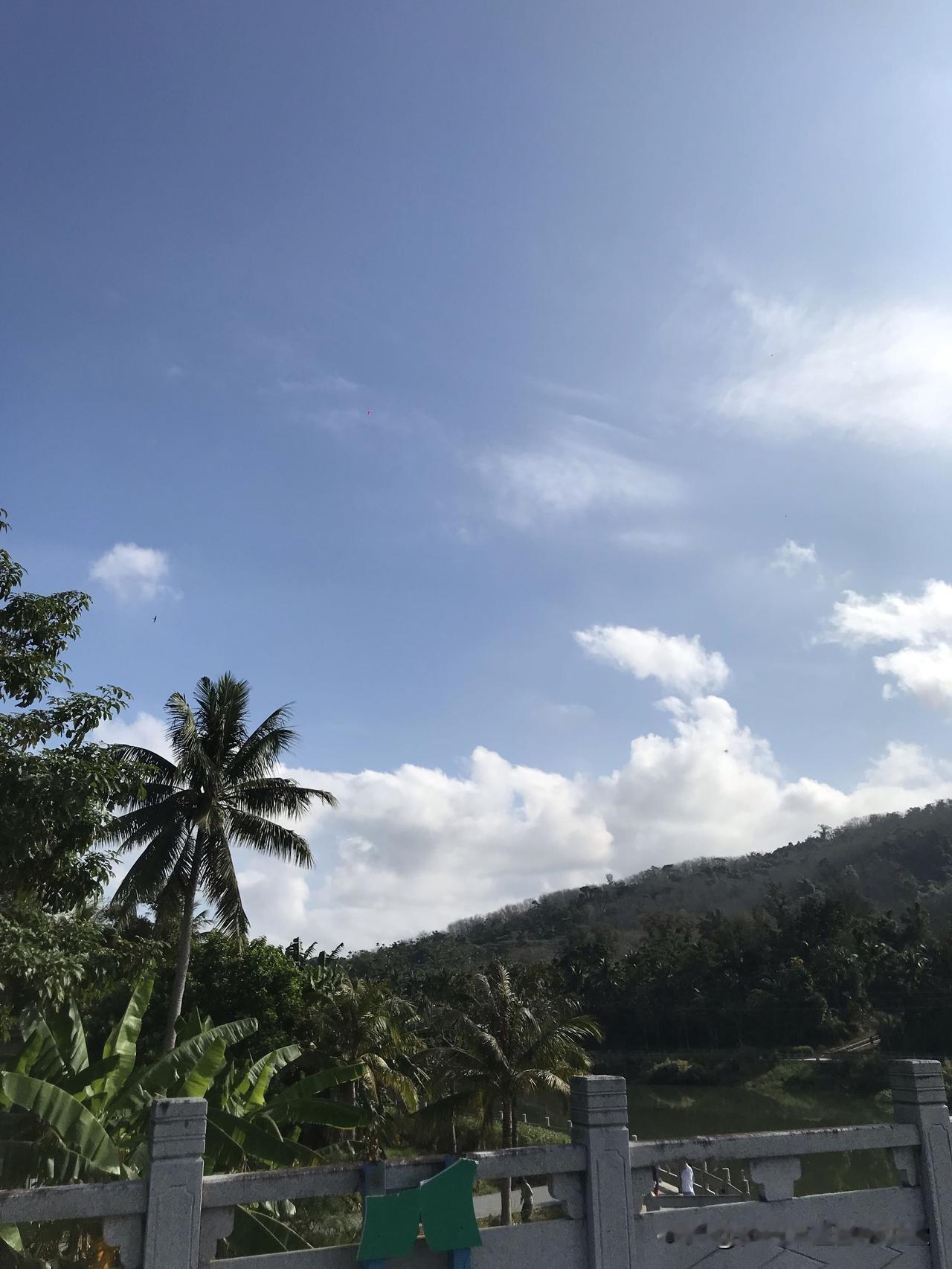 蓝天白云下，热带风情浓郁，绿意盎然，仿佛置身于世外桃源。