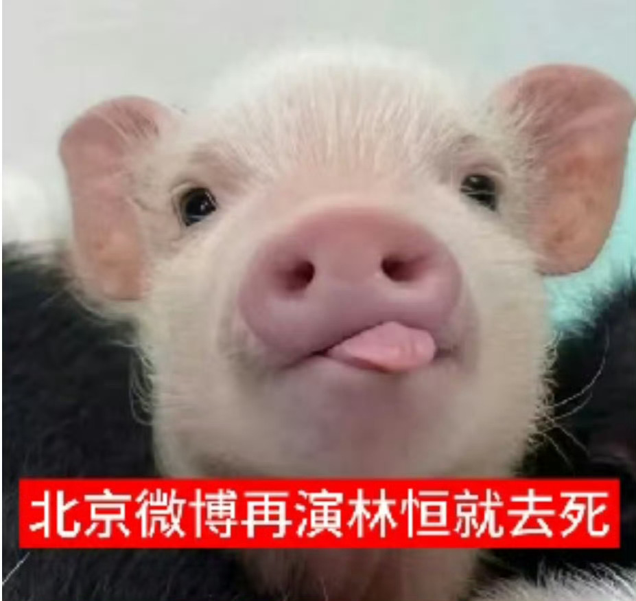 分享图片 