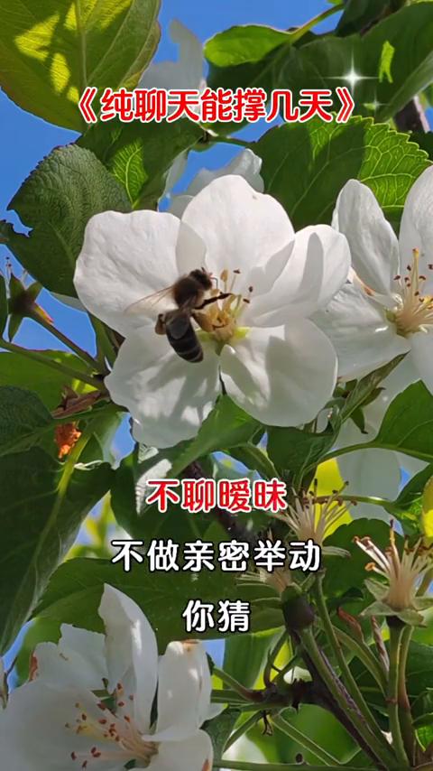 两性之间不约会、不拥抱、不聊暧昧、不做亲密举动，你猜男人和女人纯聊天能聊多久？能
