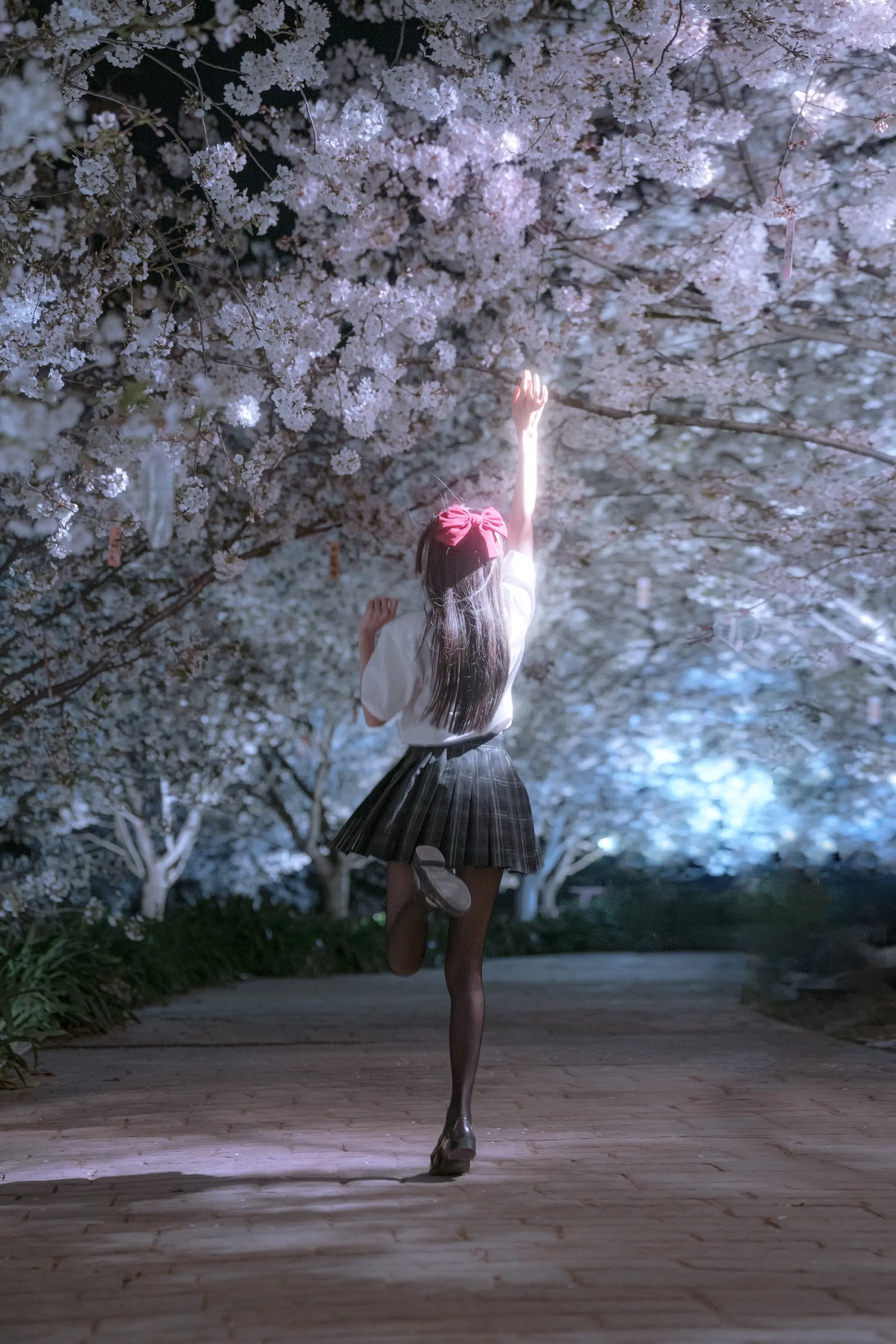 夜樱。