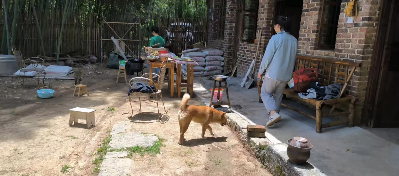 粉丝们都问我为什么老搬家？想说：不是我想搬，而是农村租房真的太不稳定，除非租到荒
