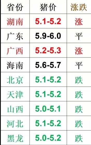 今日猪价！多地调整！2026.8.3全国各地猪价参考猪 猪价 猪价行情 猪肉