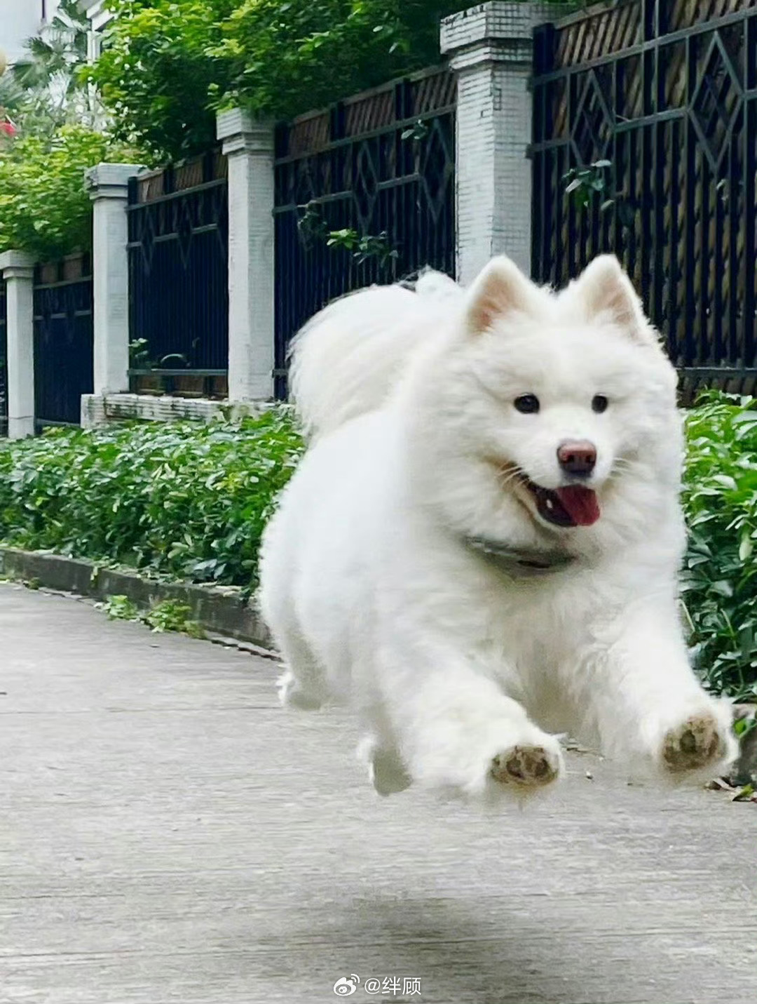 你最期待的正在向你跑来，月底前全部实现！ 