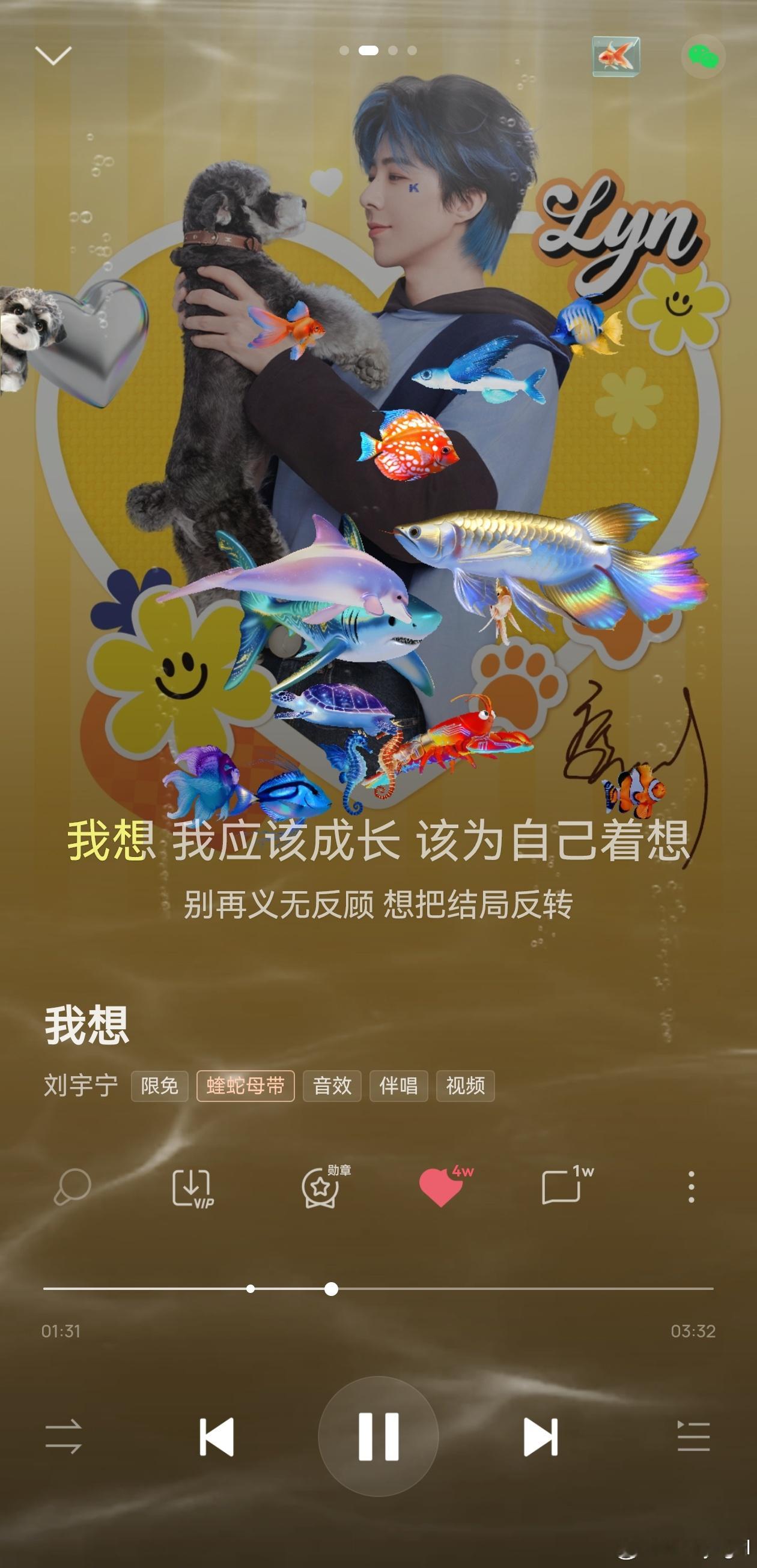 刘宇宁新歌我想 | 刘宇宁的第二张专辑刘宇宁的 | 摩登兄弟宁哥刘宇宁 新歌《我